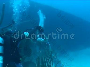 水下婚礼视频加勒比海
